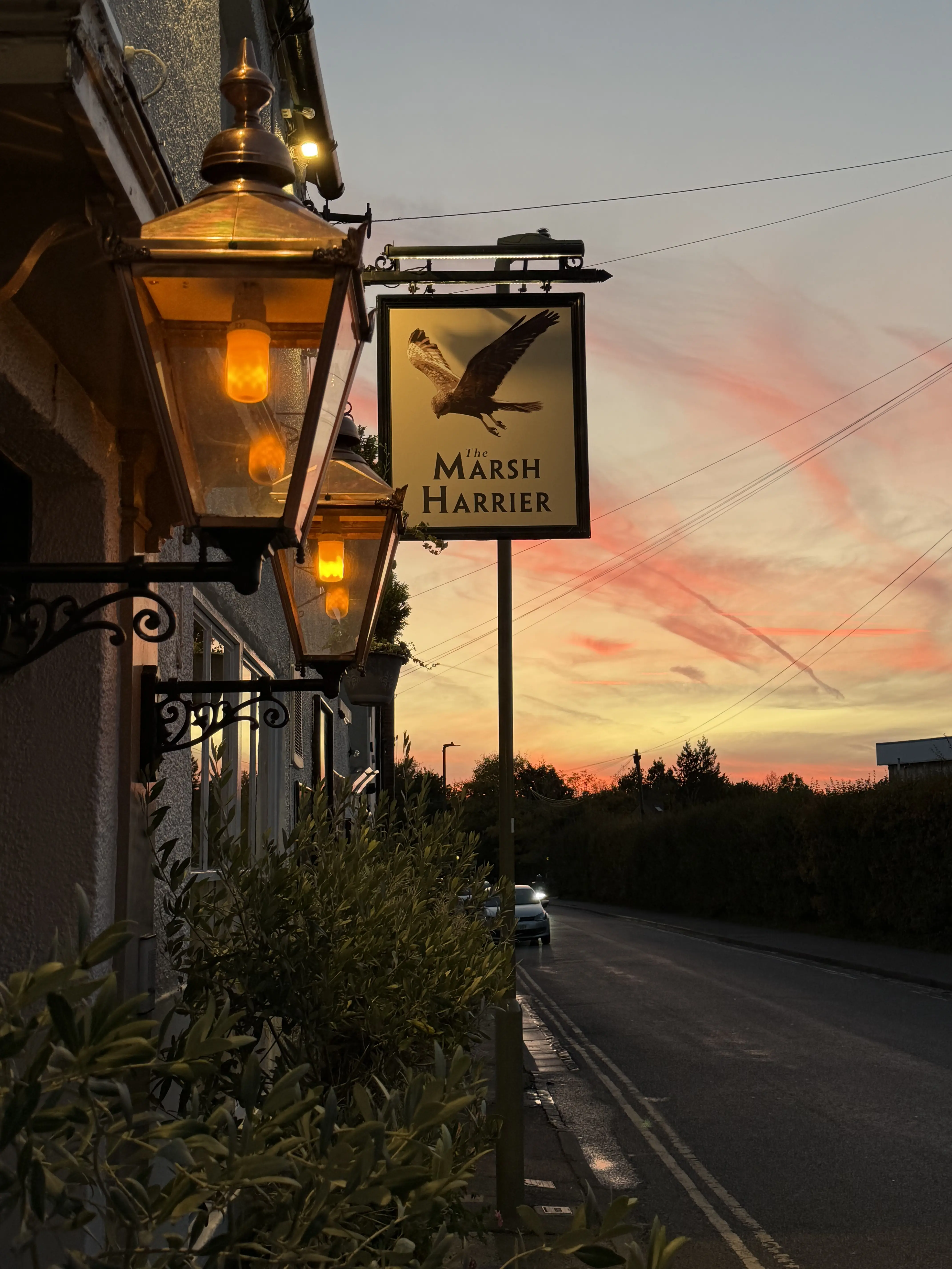 The Marsh Harrier pub sign